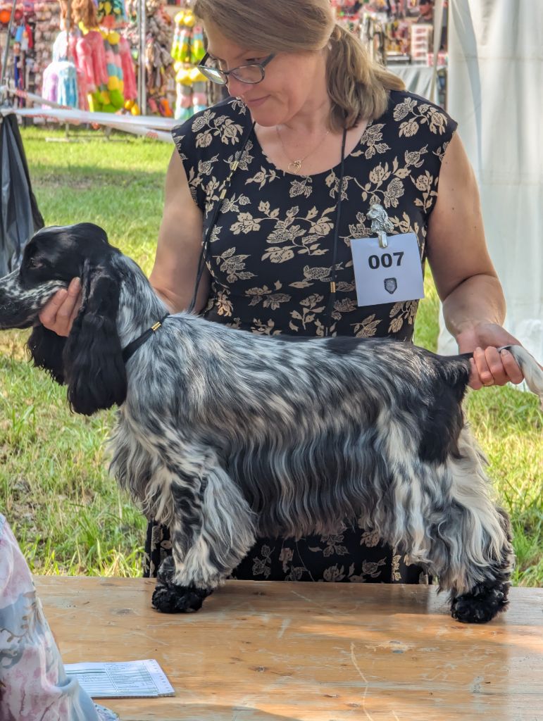 Texas du Bois d'Achelles