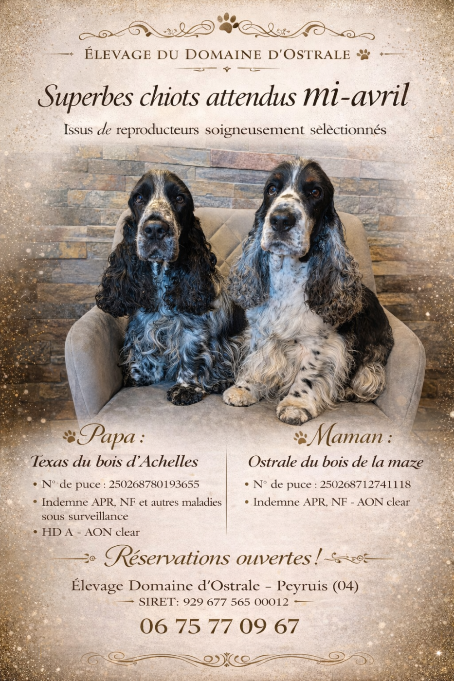 Nouvelles naissances pour 2026